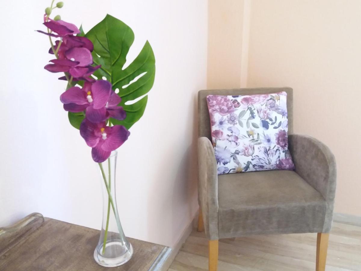 Alexandra Spingou Apartments ذيسْخا المظهر الخارجي الصورة