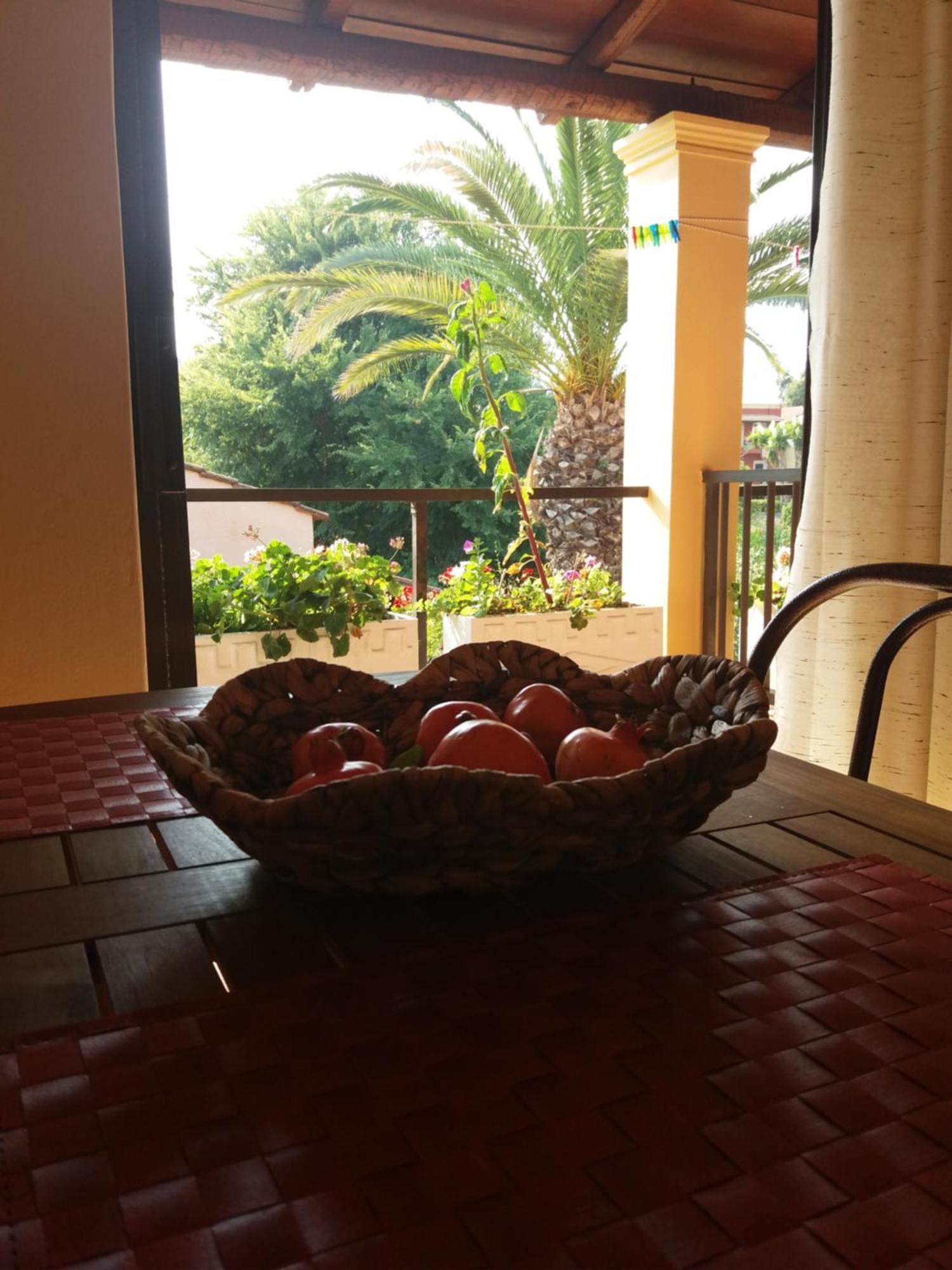 Alexandra Spingou Apartments ذيسْخا المظهر الخارجي الصورة